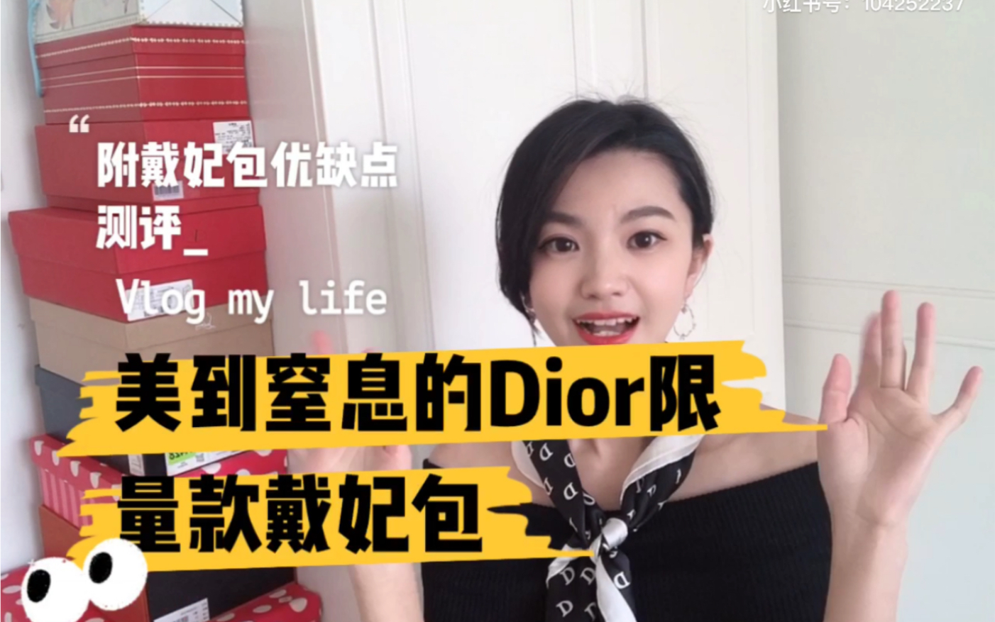 关于dior戴妃包的使用分享|美到窒息的情人节限量款戴妃包哔哩哔哩bilibili