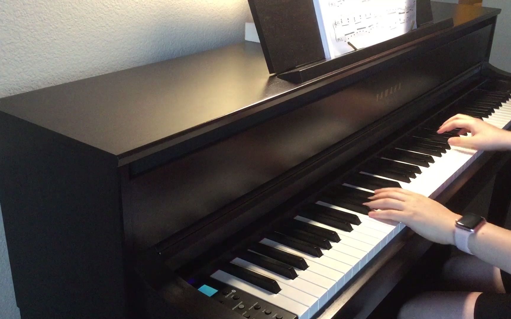 红蜻蜓-jacob koller改编版_哔哩哔哩_bilibili