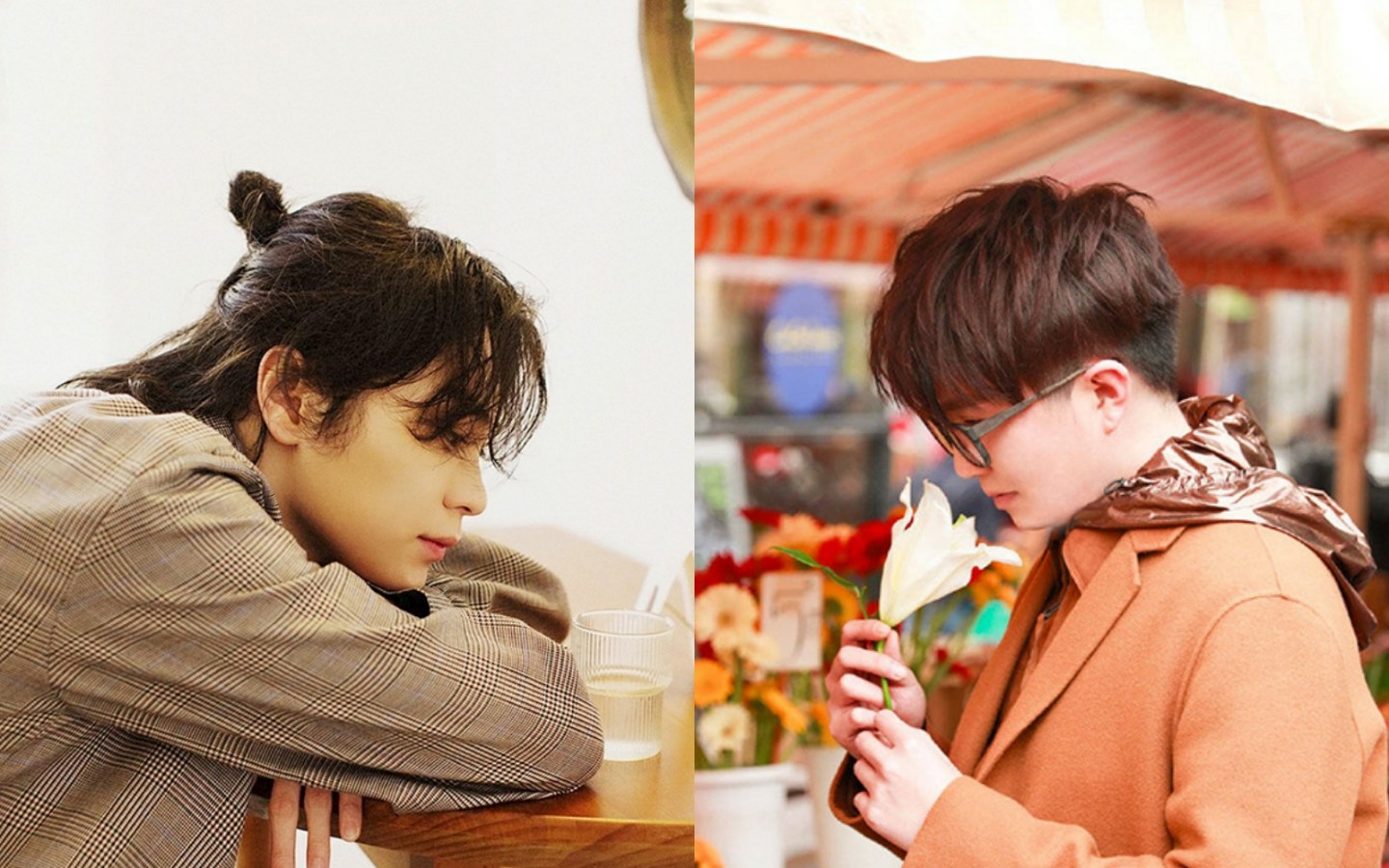 【毛桃cp】想我的毛桃了