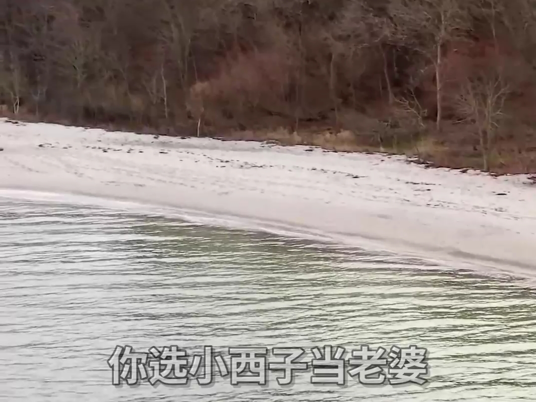 穷人没有选择权！