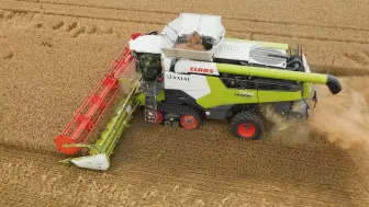 Скачать видео: 小麦收获 | 克拉斯（Claas） Lexion 7700+760 TerraTrac