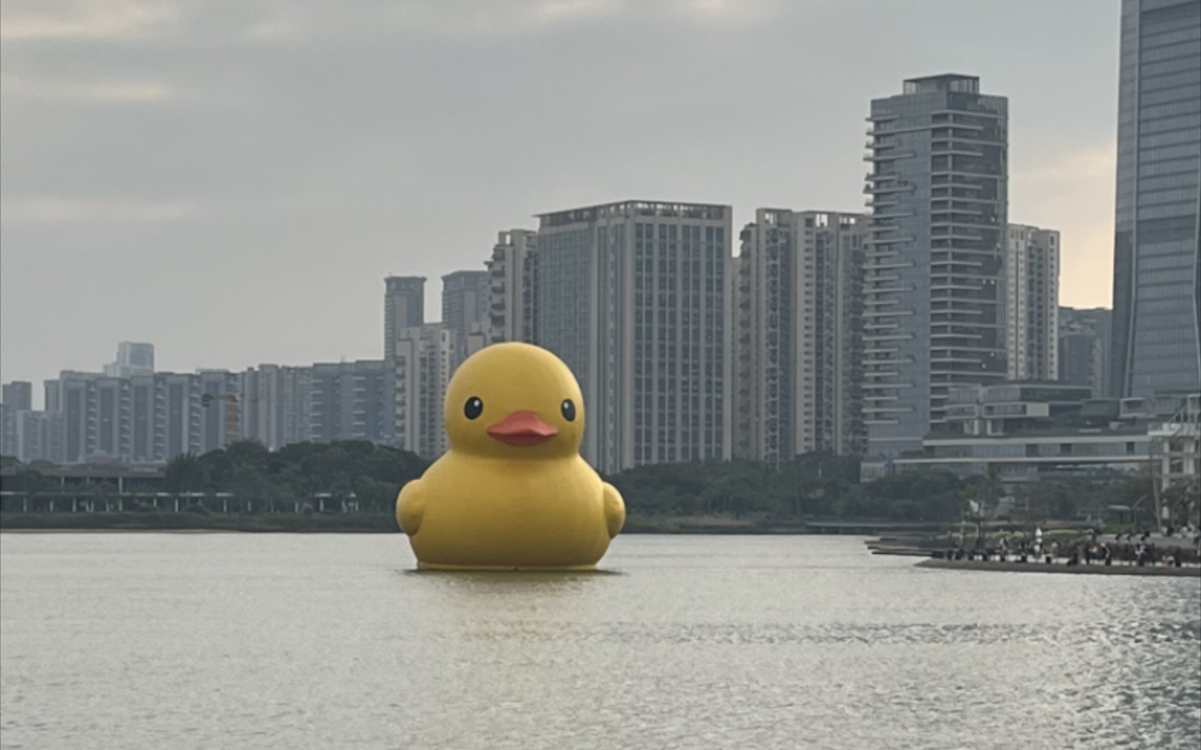 [vlog]深圳湾之旅 大黄鸭get73