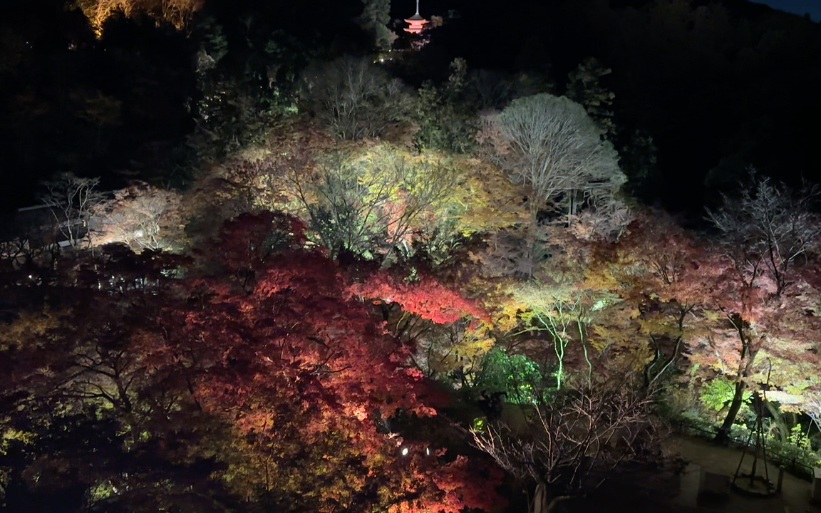 夜游清水寺:禅意中的唯美夜景