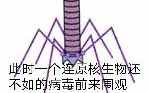 [一击男贴吧]一拳超人 怪人高等生物 灾害等级龙哔哩哔哩bilibili