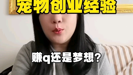 宠物行业是赚钱还是梦想哔哩哔哩bilibili