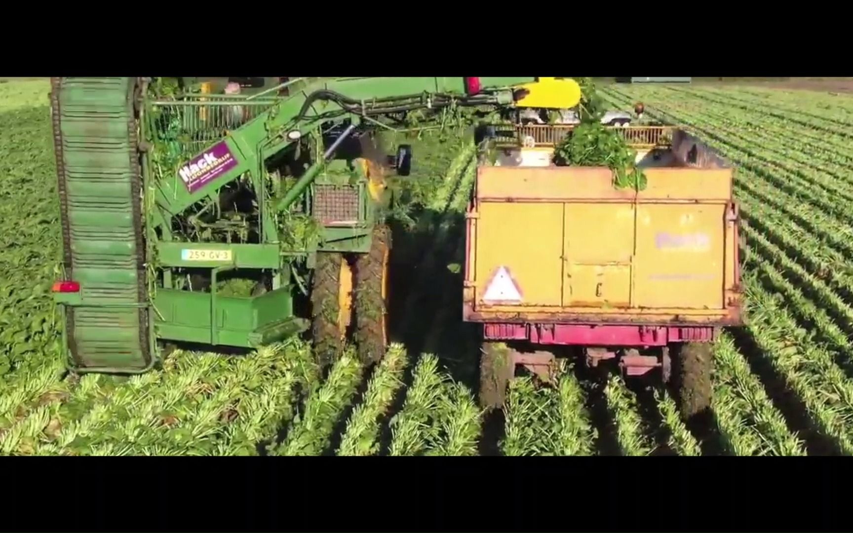 比利时:青菜收割机工作流程,这么简单粗暴地方式收获还能吃吗