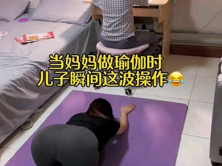 扑食哔哩哔哩bilibili