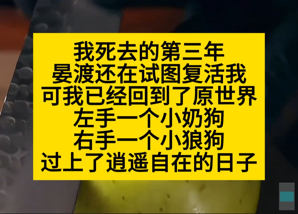 我亖去的第三年,他还在试图复活我,可我已经回到了袁世杰,奶狗狼狗一起玩……小说推荐哔哩哔哩bilibili