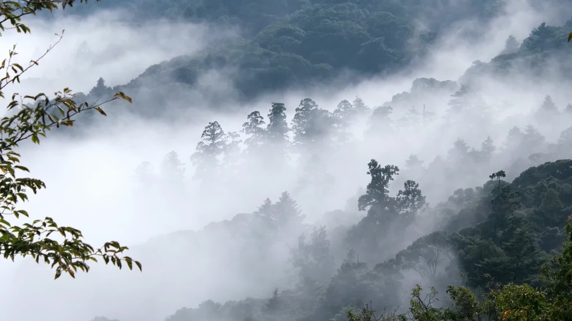 实拍自然生态山川美景,山间雾气云海缭绕,犹如神仙居住哔哩哔哩bilibili