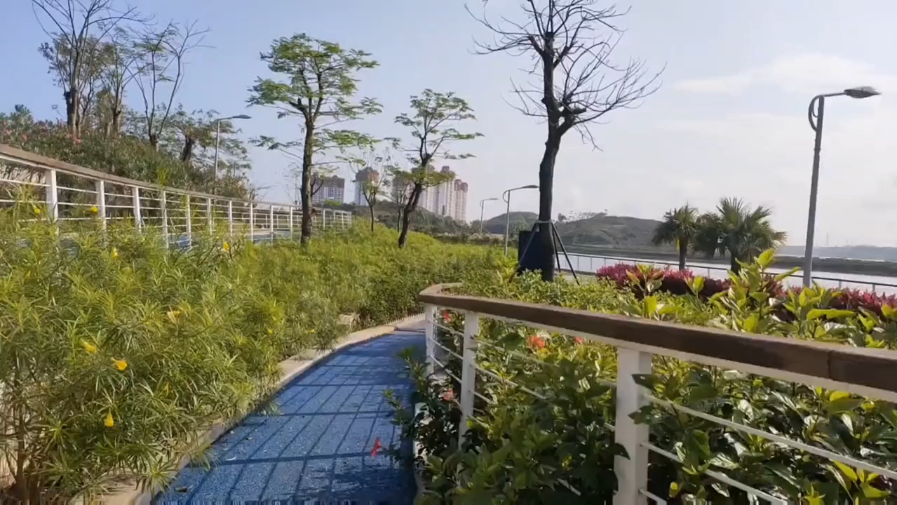 广西钦州市孔雀湾公园