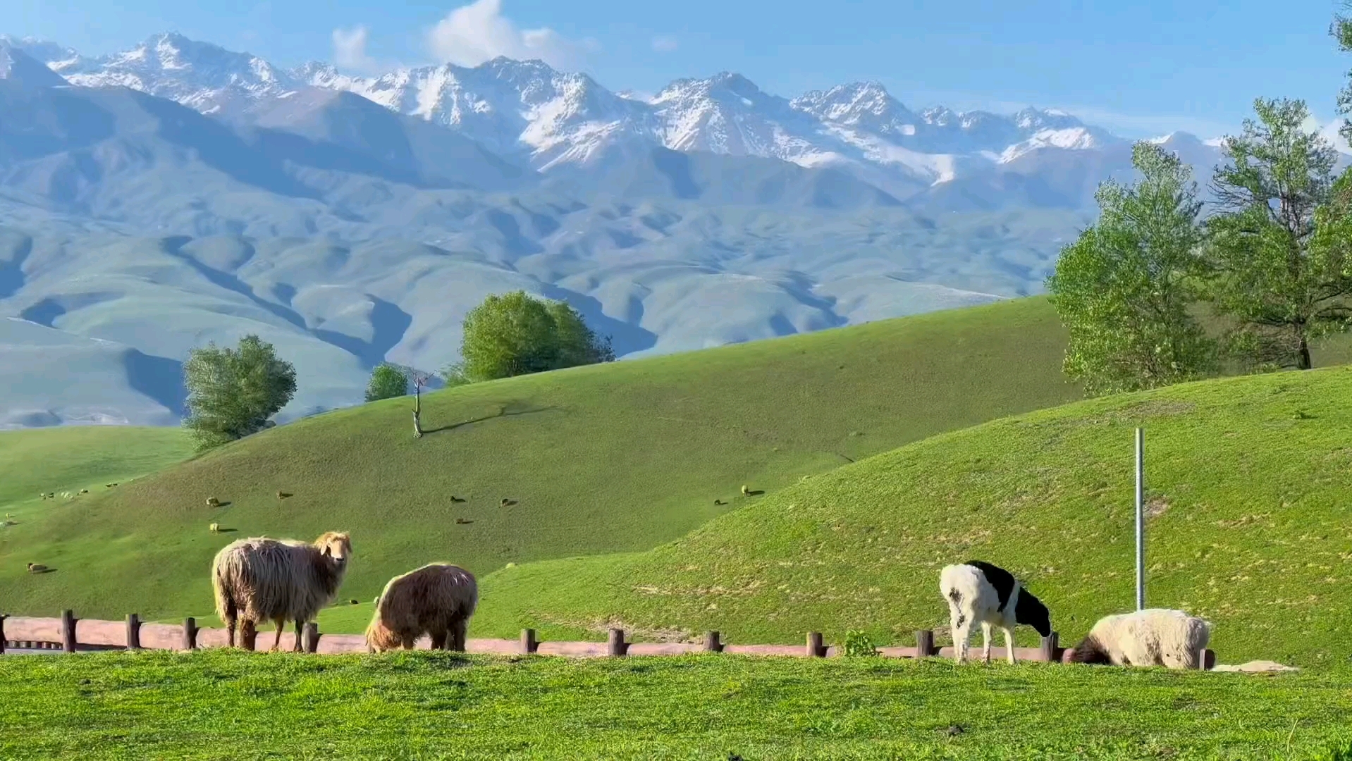 有趣的事要分享给不敷衍的人,我们在风景中被治愈