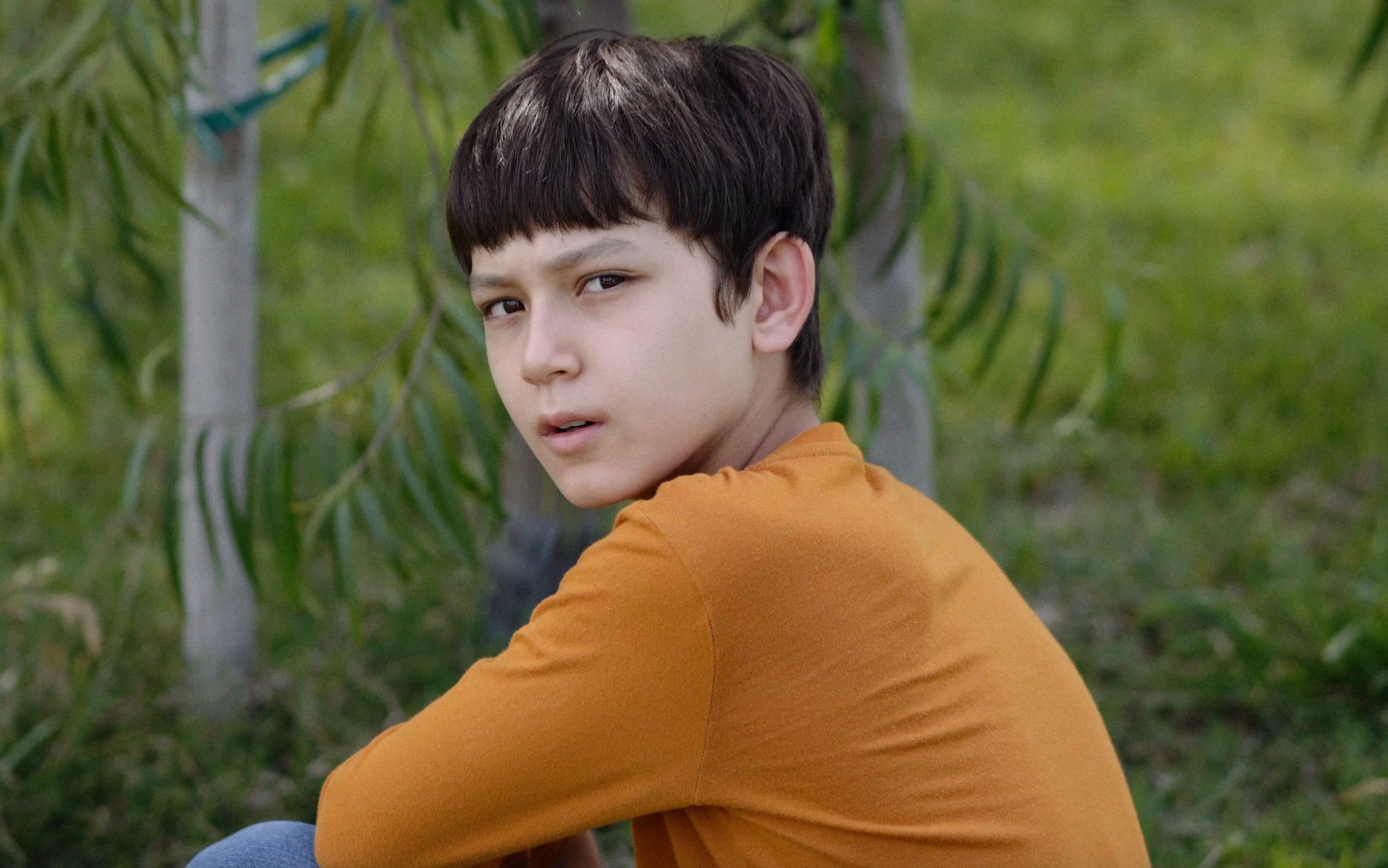 春日,防弹少年团 | spring day, bts