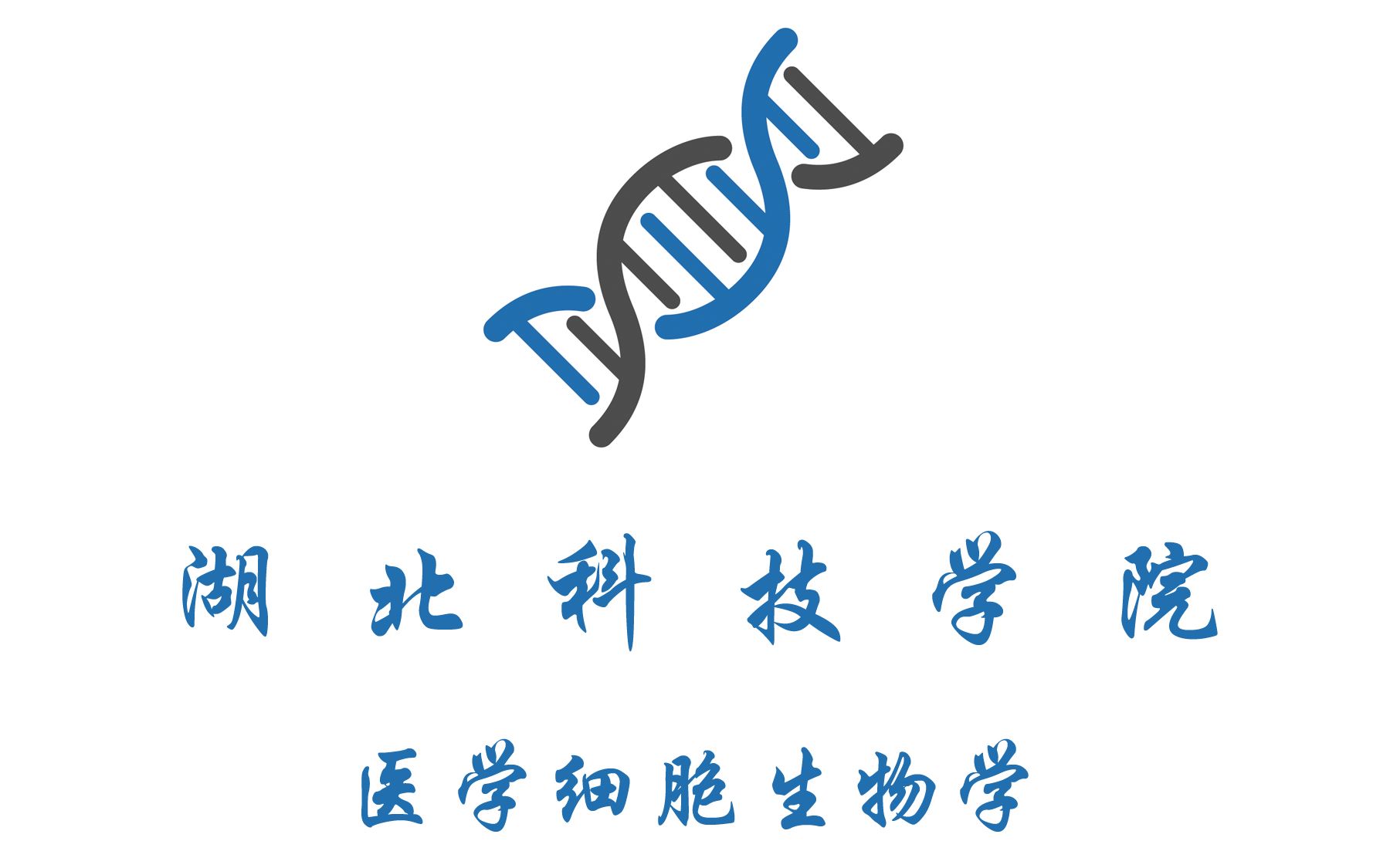 医学细胞生物学湖北科技学院哔哩哔哩bilibili