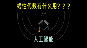 Descargar video: 【线代应用】学线性代数到底有什么用？