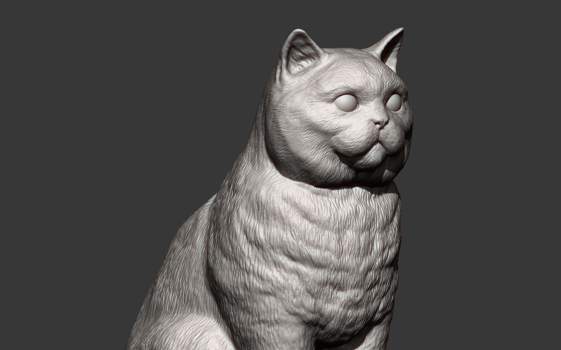 zbrush猫动物雕刻参考资料,zbrush雕刻资料