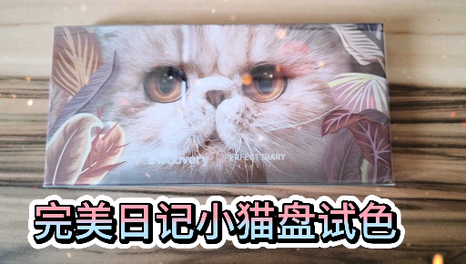 完美日记小猫眼影盘试色哔哩哔哩bilibili