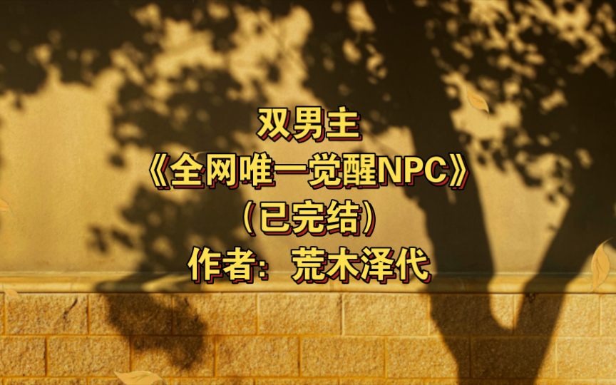 [图]双男主《全网唯一觉醒NPC》已完结 作者：荒木泽代，强强 轻松 HE 全息网游 权谋 科幻【推文】长佩