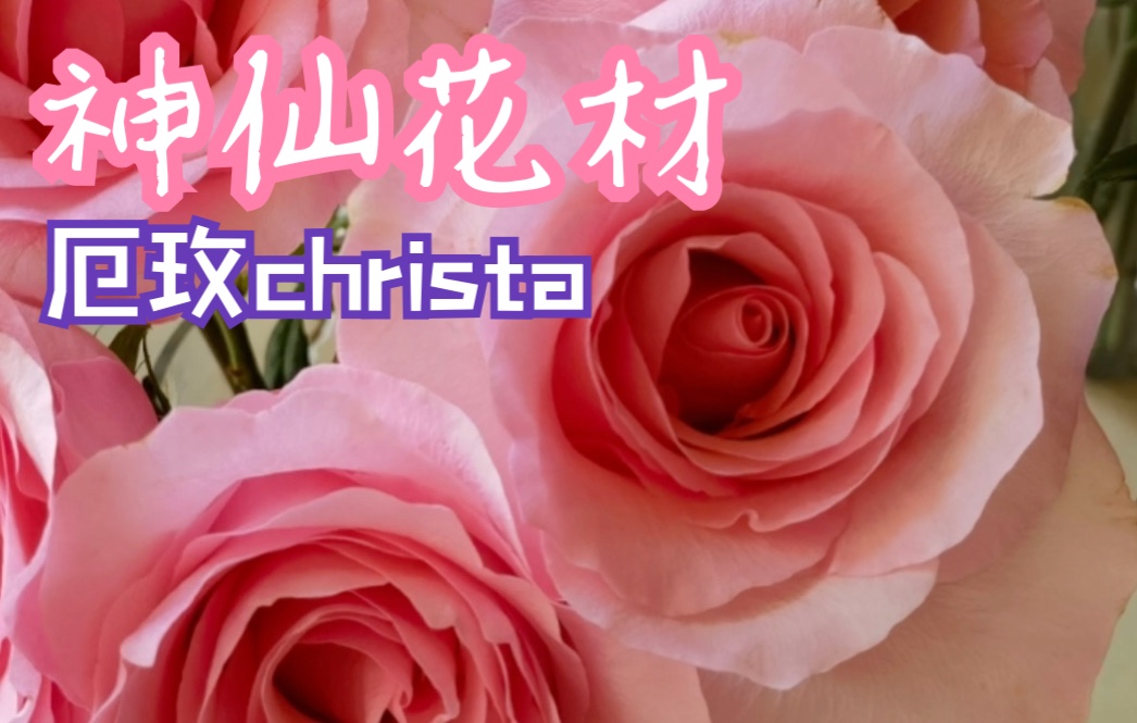 【源儿的花Vol.80】鲜花开箱|超仙厄瓜多尔玫瑰Christa推荐!哔哩哔哩bilibili