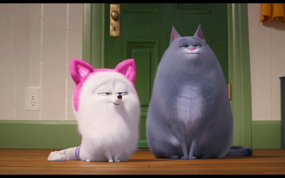 【爱宠大机密】-如何成为一只猫