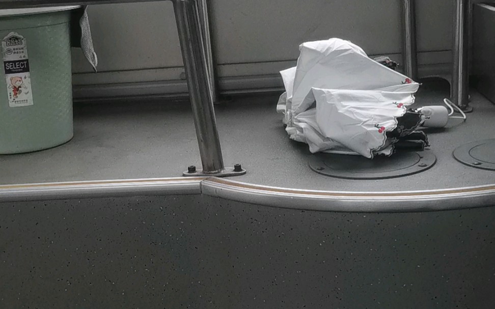 一辆电机鬼叫的莘南专线