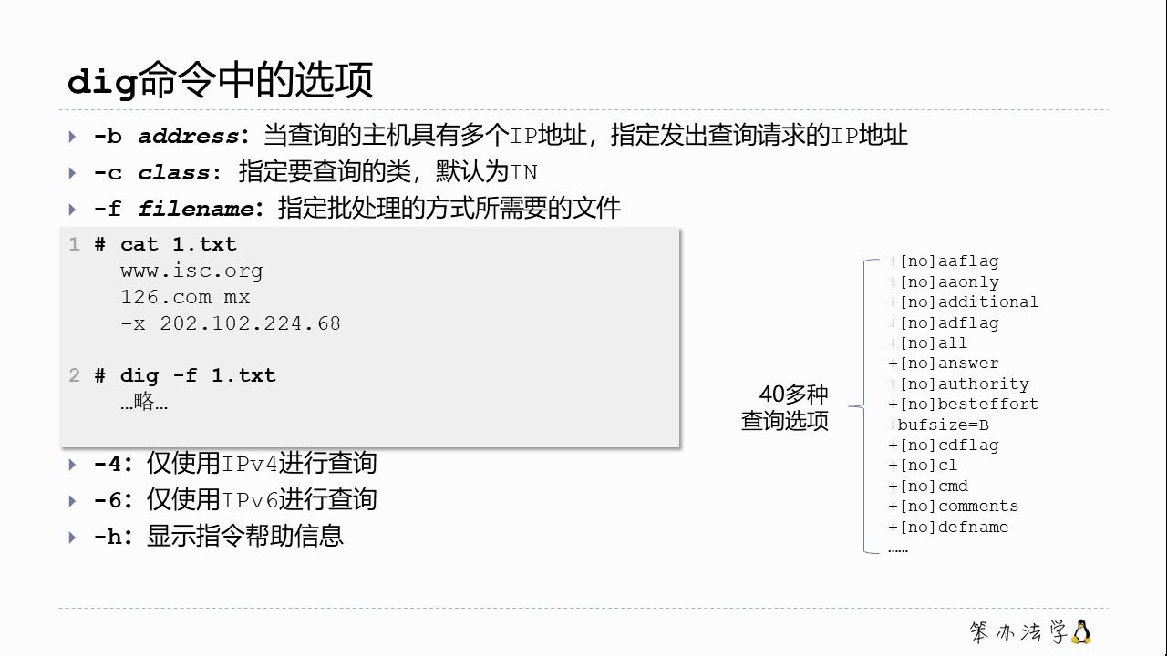 笨办法学Linux | dig命令DNS基础(11)哔哩哔哩bilibili