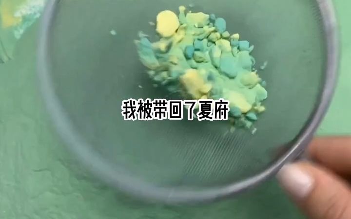 [图]我替妹妹嫁入东宫，妹妹则替我嫁给了曾许诺非我不娶的王爷