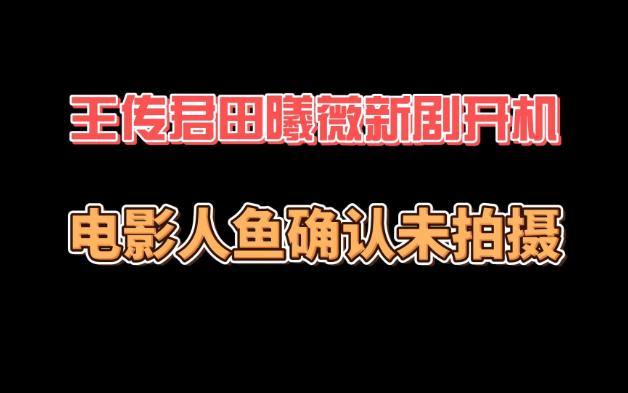 新剧消息,王传君田曦薇进组《低智商犯罪》,好剧阵容值得期待,王一博人点鱼遥遥无期哔哩哔哩bilibili