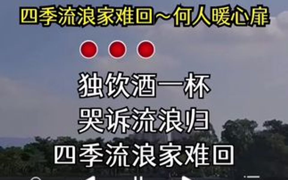 独饮酒一杯,哭诉流浪归,四季流浪家难回,何人暖心扉