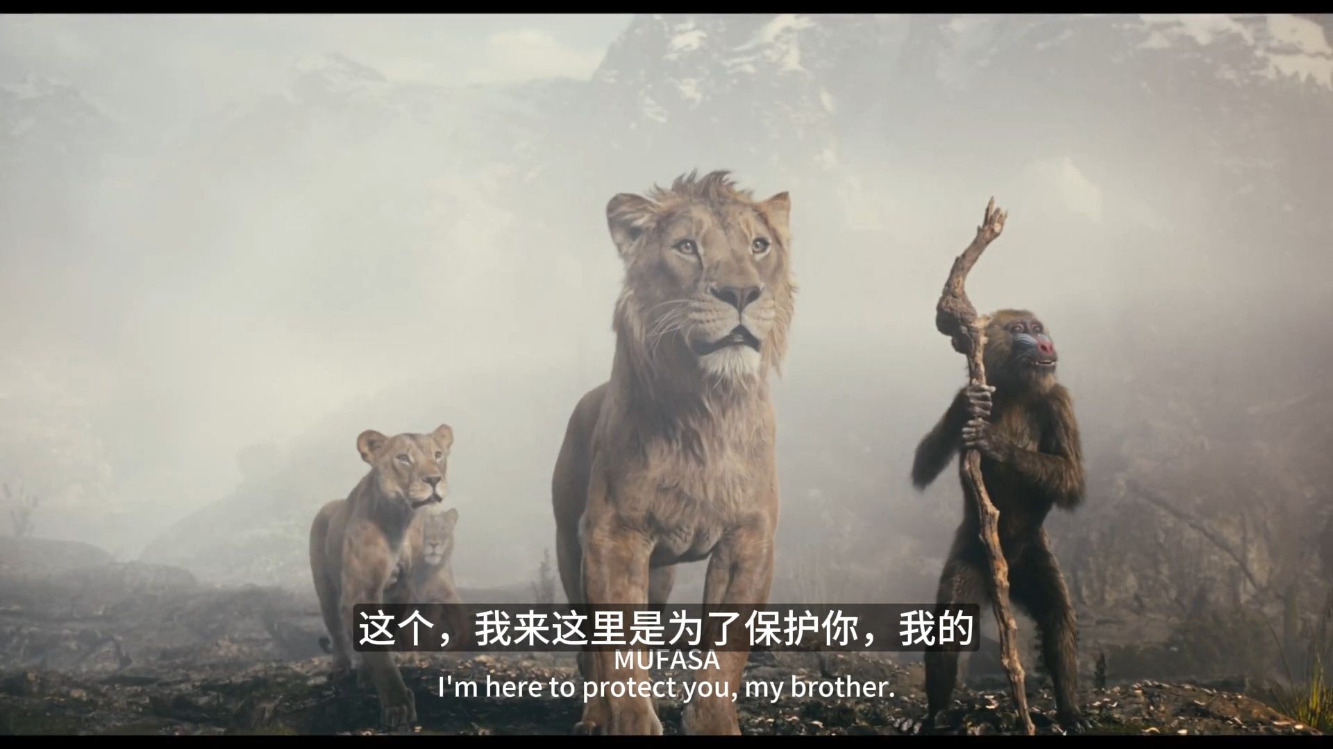 【预告片系列】y433《木法沙:狮子王》| 官方预告片.