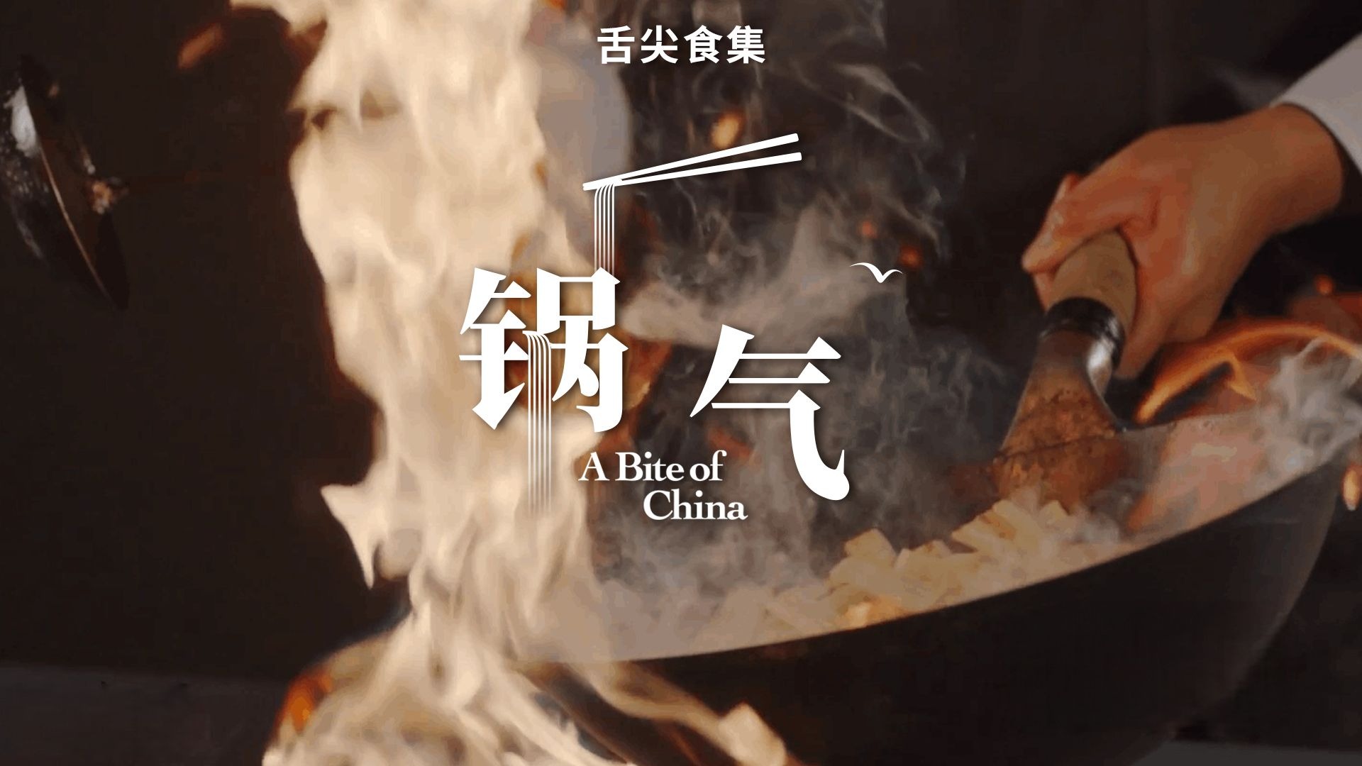 舌尖上的中国 | 一条视频证明“锅气”存在-舌尖官方-舌尖官方-哔哩哔哩视频
