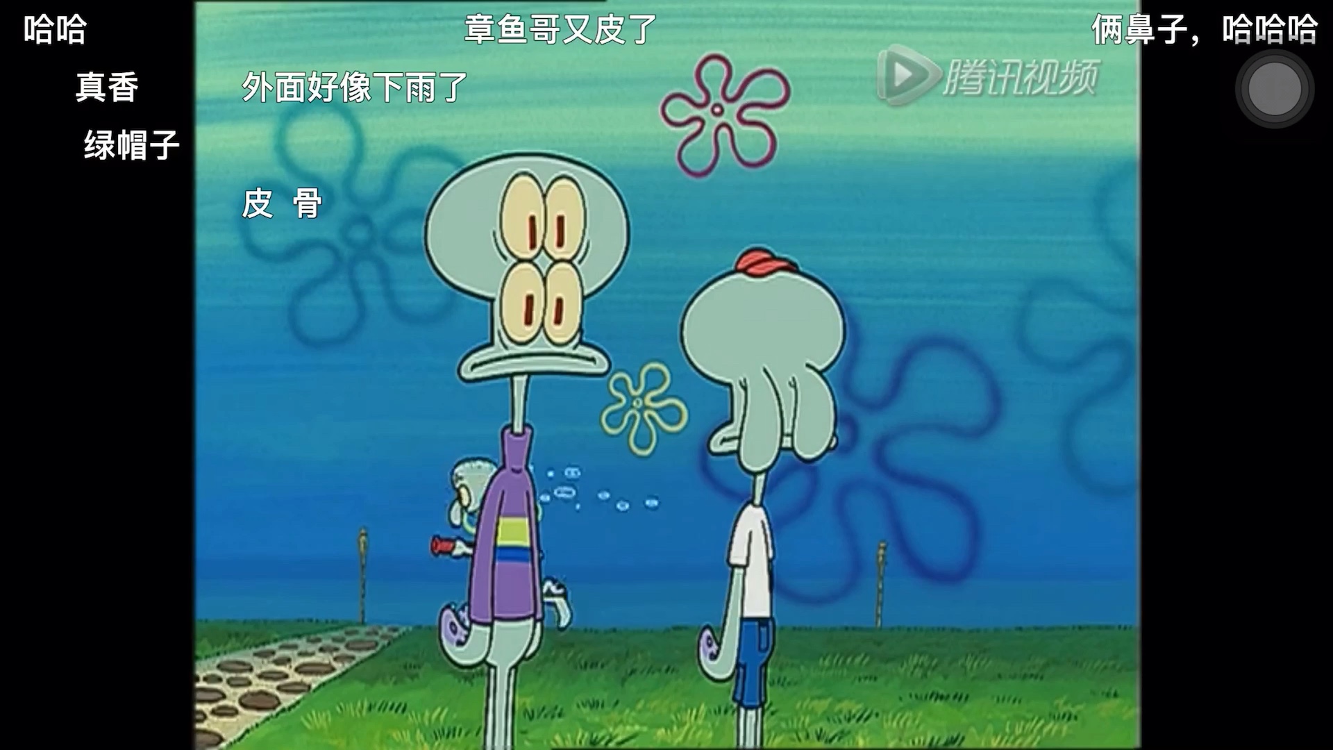 还海绵宝宝章鱼村名场面你在看什么俩鼻子