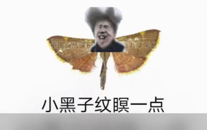 尼坤表情包原图图片