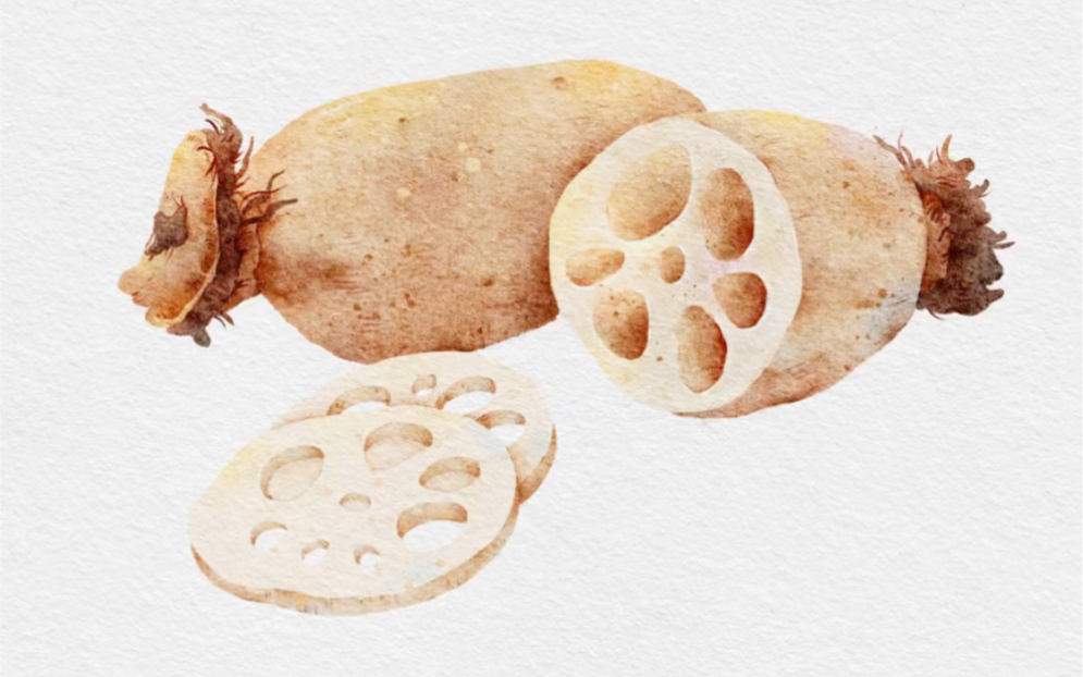 今日份水彩～藕藕君