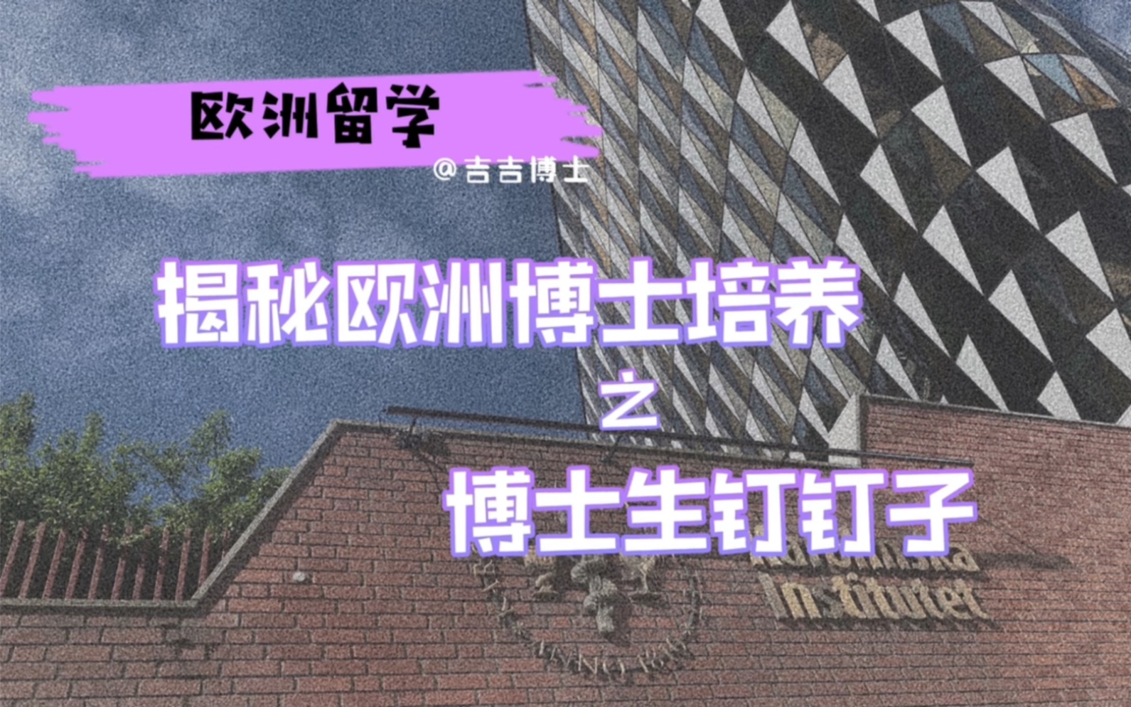 震惊!在瑞典留学,博士生竟然要钉钉子?揭秘欧洲博士培养体制哔哩哔哩bilibili