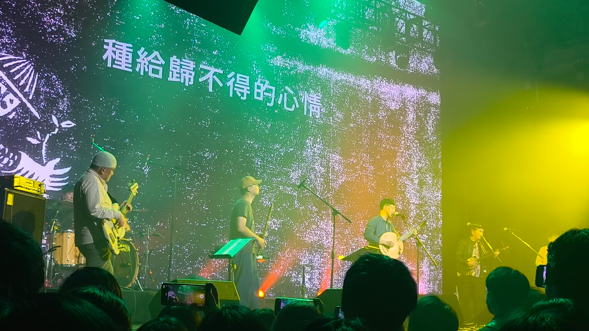《种树》live