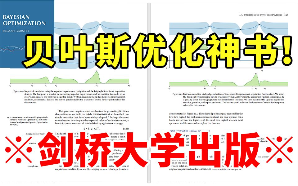 【贝叶斯优化】剑桥大学出版的贝叶斯优化必看神书《贝叶斯定理的最佳化》简直无敌!!!哔哩哔哩bilibili