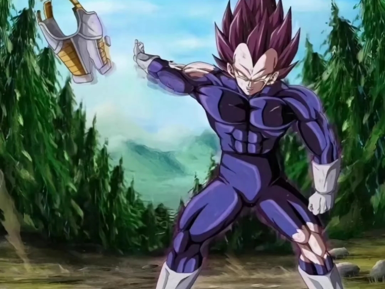 【龙珠同人】自我极意贝吉塔