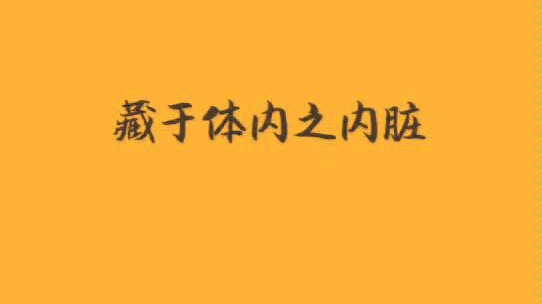 [图]「中医基础理论歌诀」——藏象学说