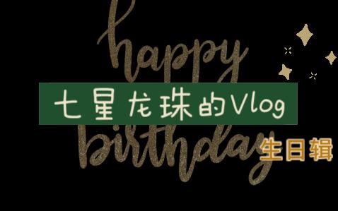 七星龙珠Vlog生日辑哔哩哔哩bilibili