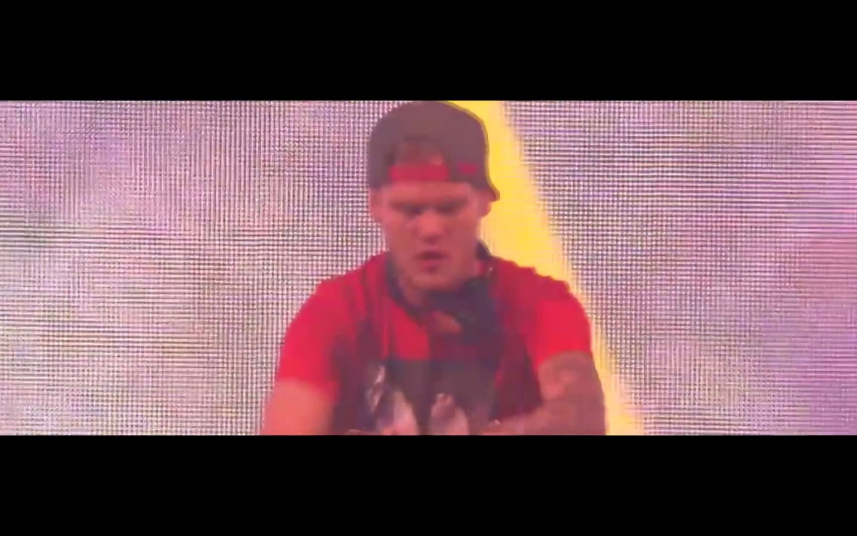 [图]Avicii - The Nights (Live at Summer Ball 2015)