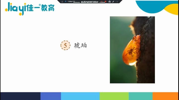 佳一语文四年级下册第二单元导学课1哔哩哔哩bilibili