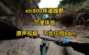 Download Video: 捷安特xtc800林道骑行，沉浸体验，原声视频，不加任何bgm