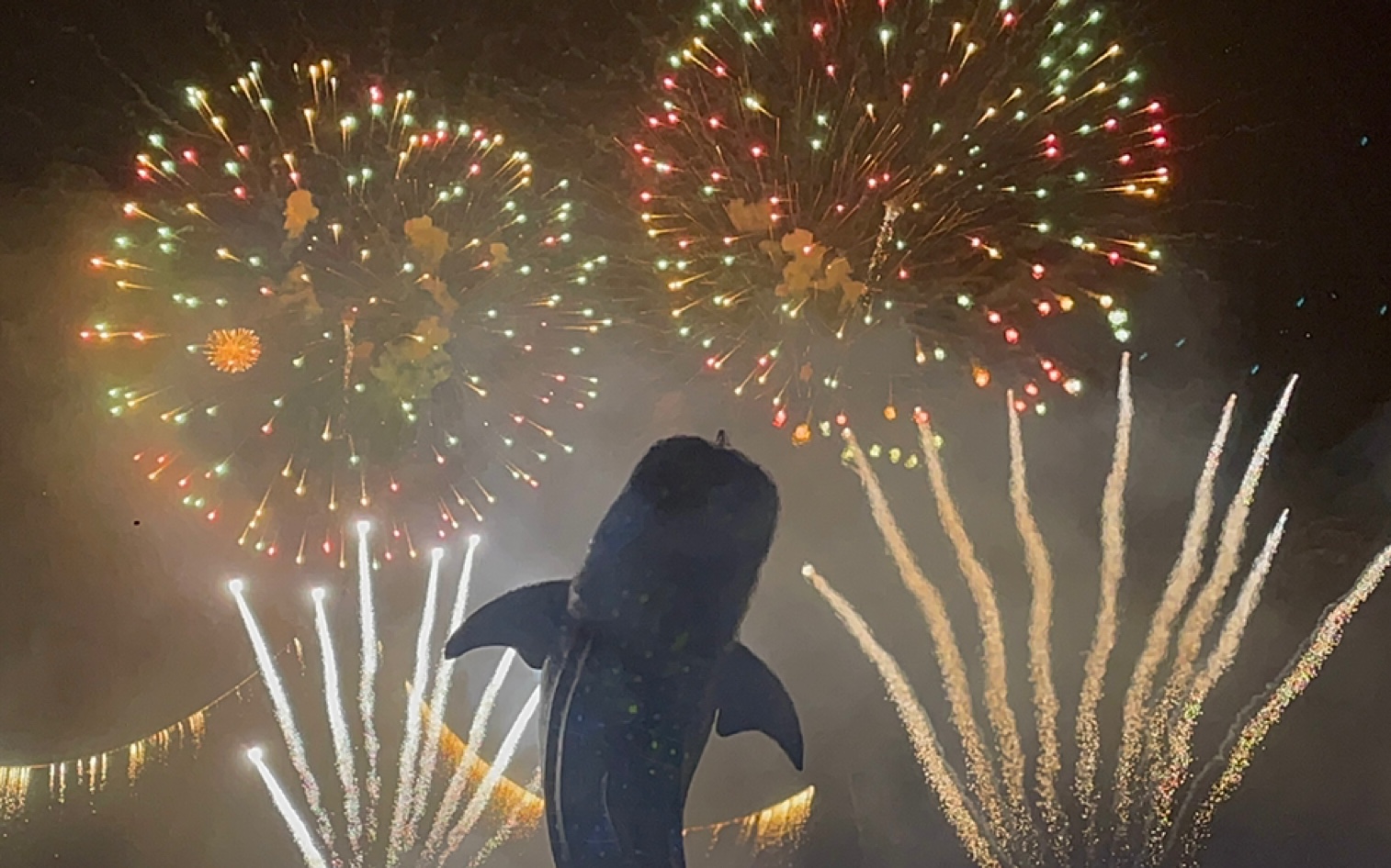 [图]新年快乐#长隆海洋王国烟花