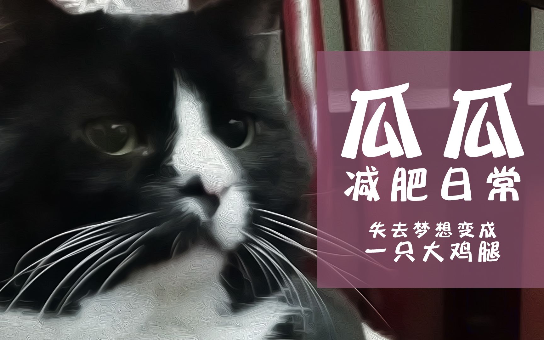 【猫肥家润】像一只鸡腿一样在地板上左右翻滚!瓜瓜最喜欢的运动!哔哩哔哩bilibili