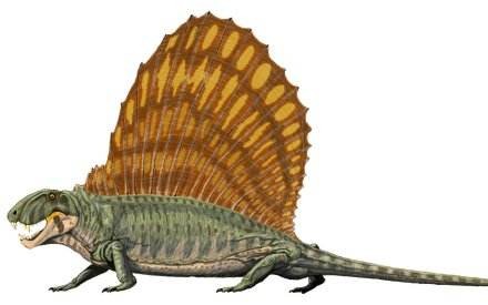 古生物二叠纪早期陆地霸主异齿龙