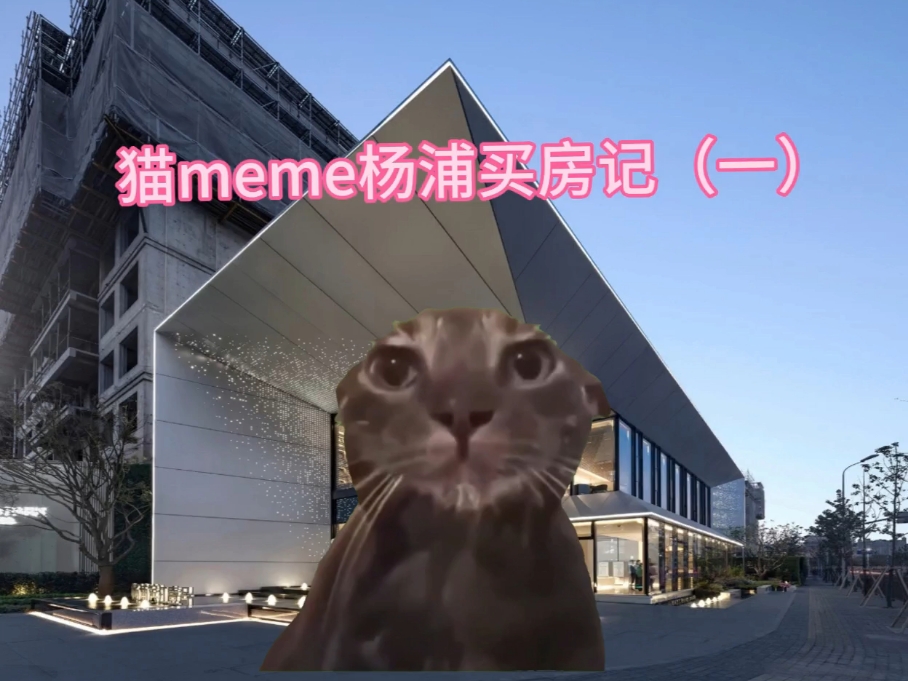 [图]猫meme上海买房记～杨浦滨江壹号