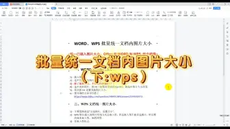 下载视频: 批量统一文档内图片大小（下:wps）