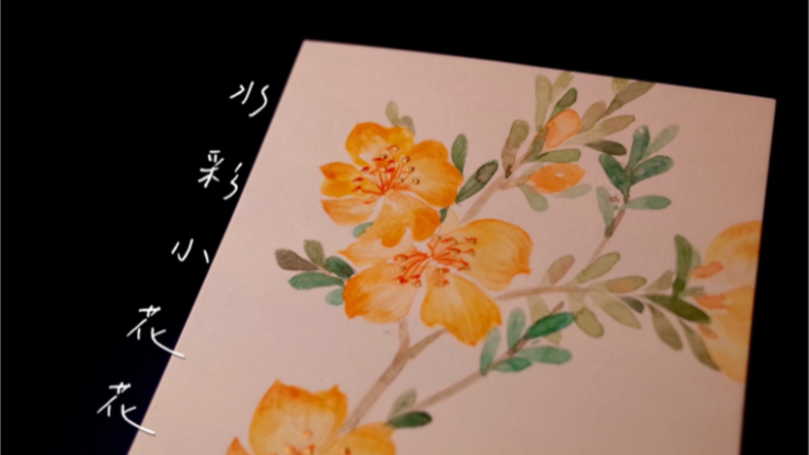 大花马齿苋在此祝十月金闪闪