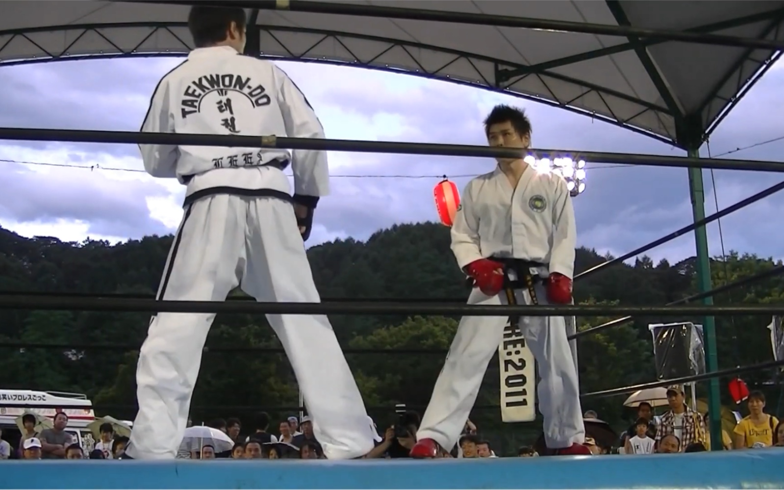 日本崔派武神大会pro职业itf跆拳道比赛