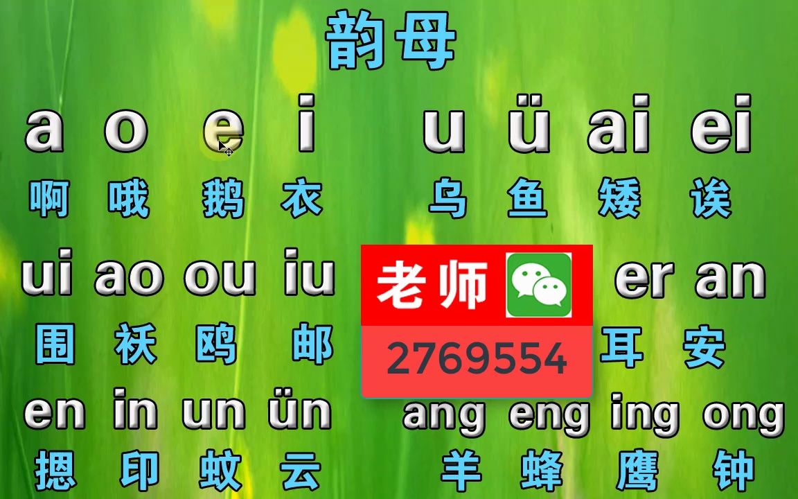 成人如何自學拼音打字,學拼音拼讀視頻,漢語拼音字母表打字